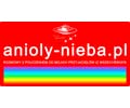 Logo of the website anioly-nieba.pl